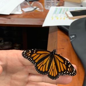 Meet your Posher, Gwen